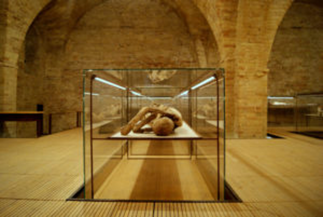 Museo della Cripta